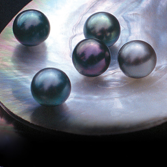 Tahitian Cultured Pearl