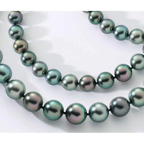 Tahitian Cultured Pearl