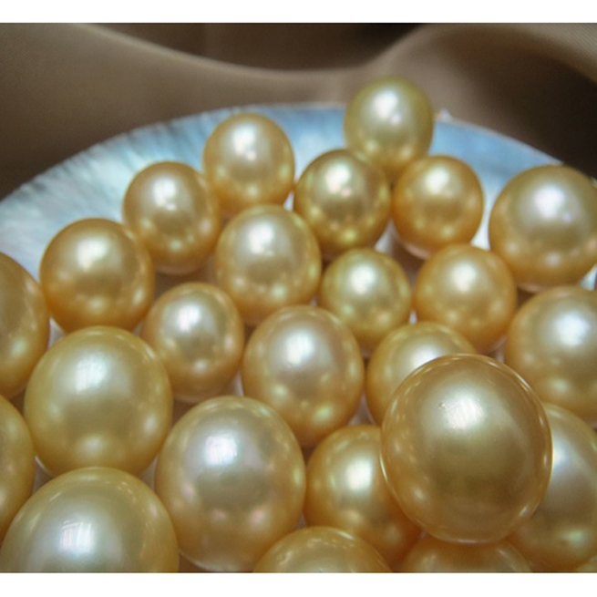 Golden South Sea Pearls