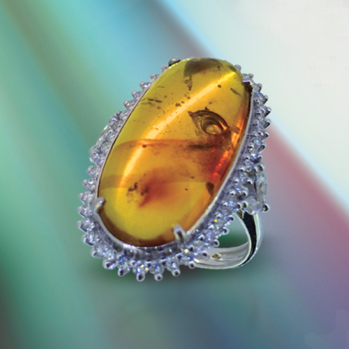 Amber Jewelry