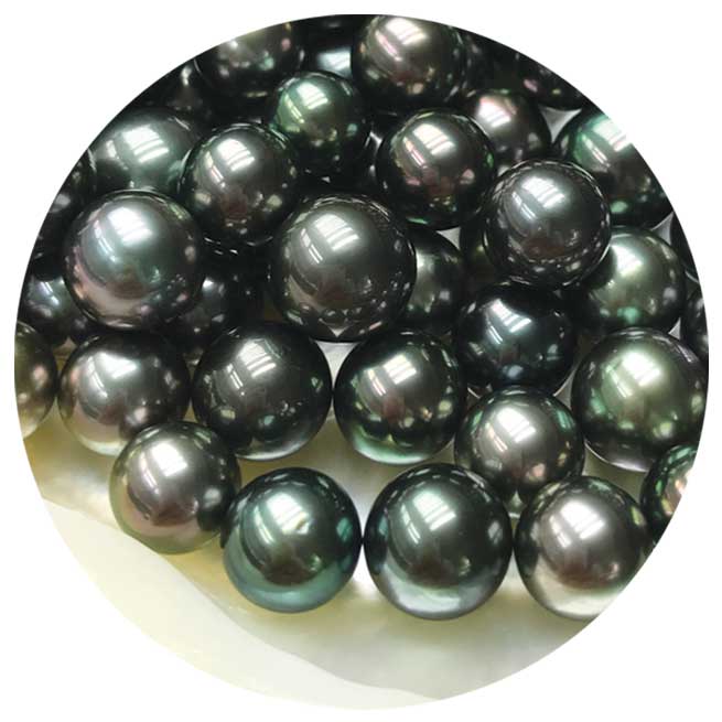 Tahitian Pearl